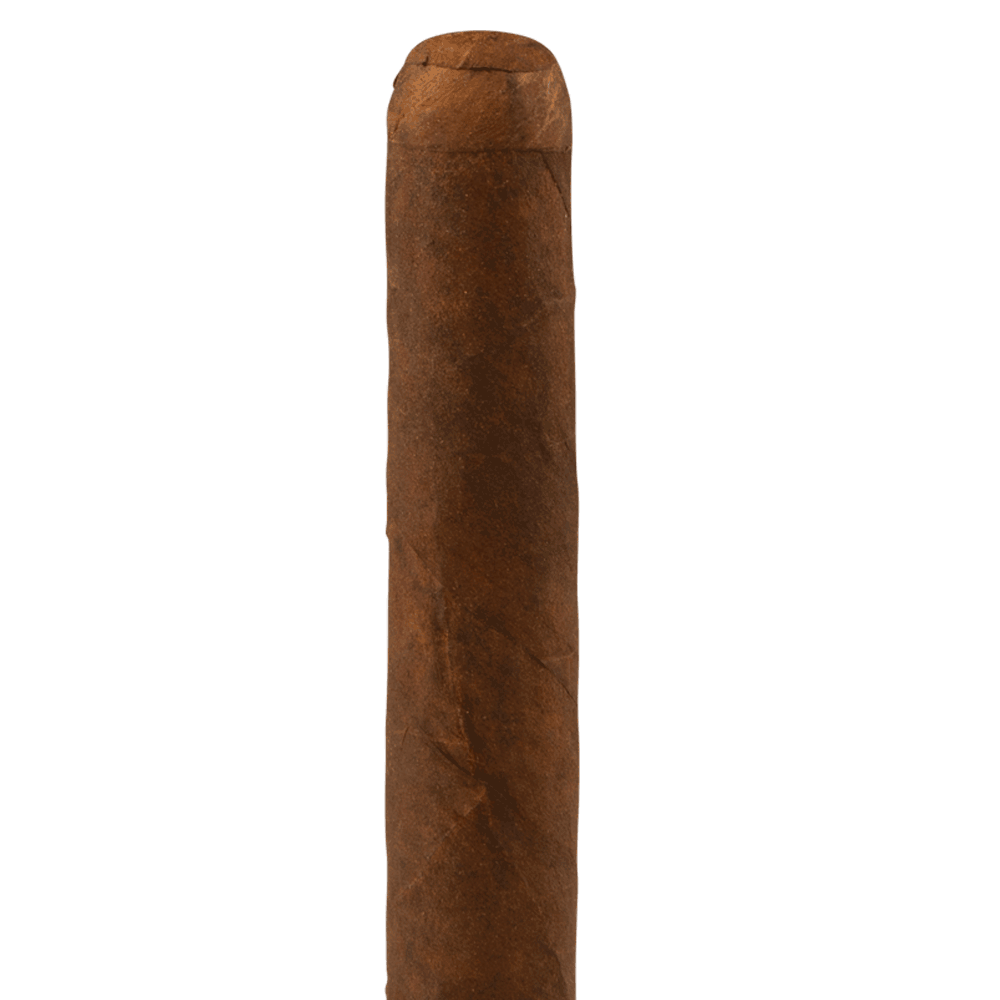 Habano 2018 Robusto, , cigars